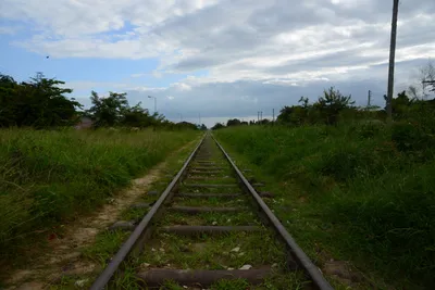 DSC_8790 (Large).JPG